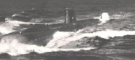USS Halibut